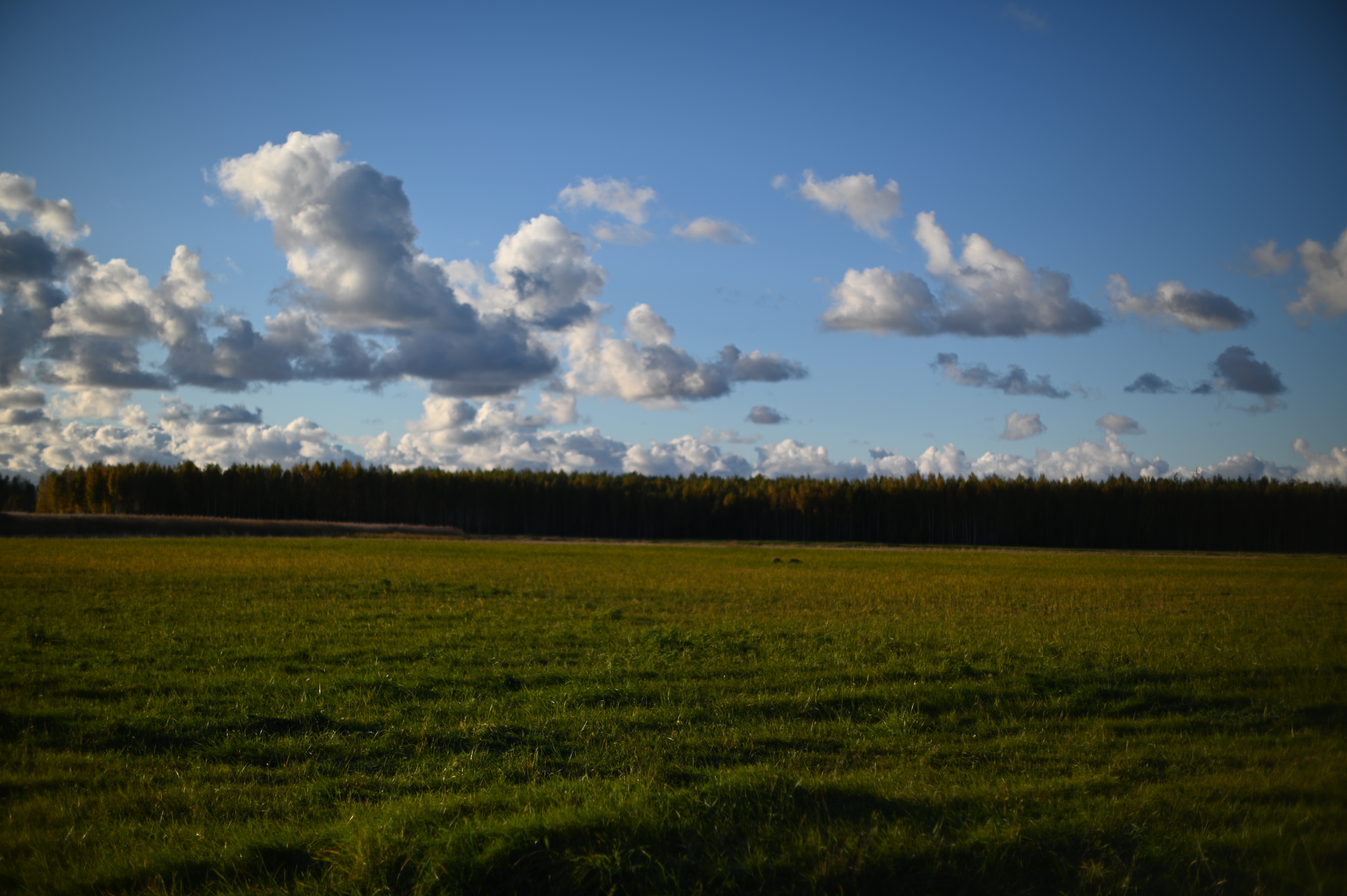 2025/10/18 - walk/DSC_0165.JPG